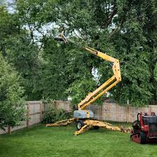 Best Tree Mulching Services  in East Flat Rock, NC