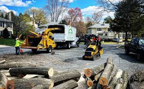 Best Tree Removal Service  in East Flat Rock, NC