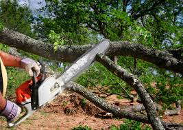 Best Landscape Design and Installation  in East Flat Rock, NC