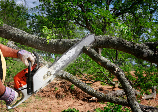 Best Utility Line Clearance  in East Flat Rock, NC